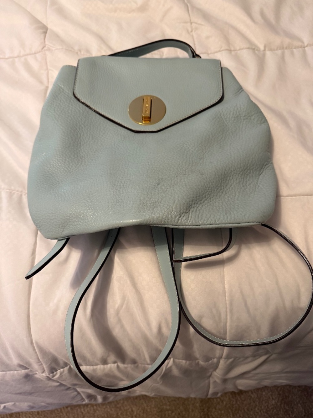 France’s Valentine purse backpack